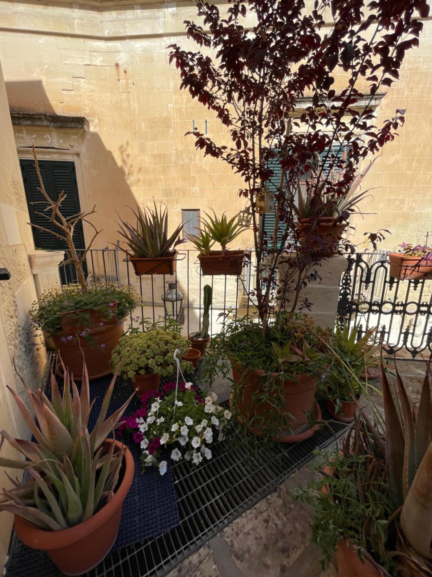 Bed and Breakfast Antica Dimora Dei Nonni Lecce Zewnętrze zdjęcie